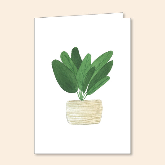 Set of 6 Note Cards Potted Plant 3
