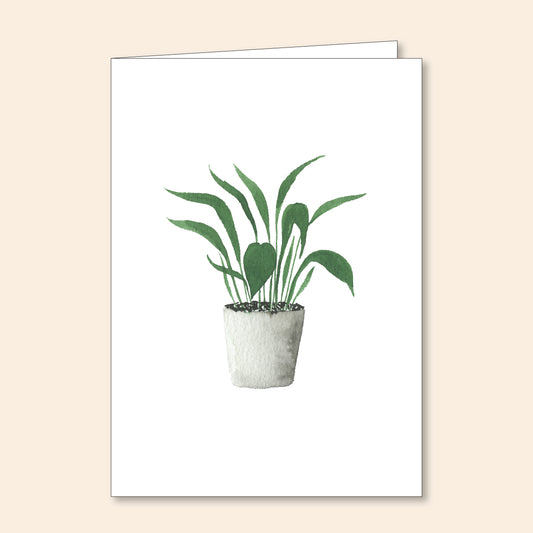 Set of 6 Note Cards Potted Plant 4
