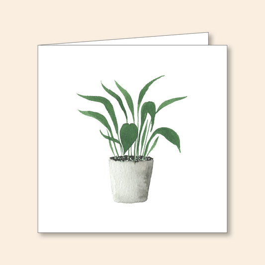 Note Card Set Potted Plant 4